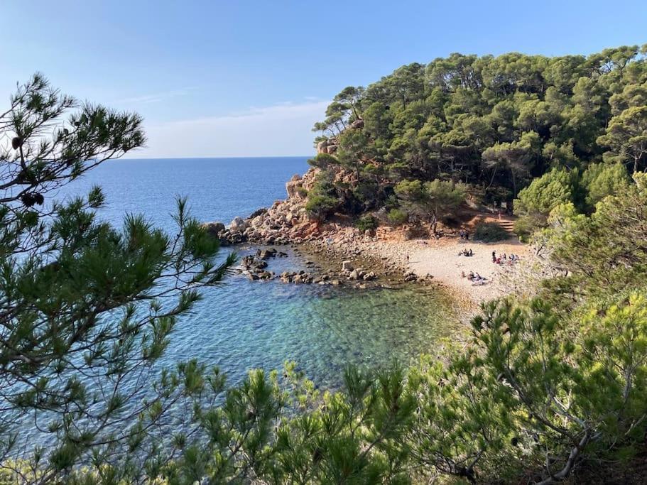 Bandol Roc Beach Vue Mer Grand T3 Face A La Plage Avec Parking Extérieur photo